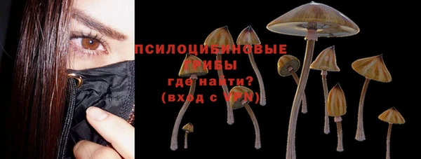 индика Липки