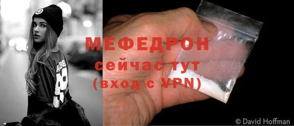 индика Липки