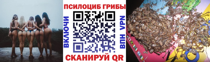 Псилоцибиновые грибы Magic Shrooms  наркотики  Тюкалинск 